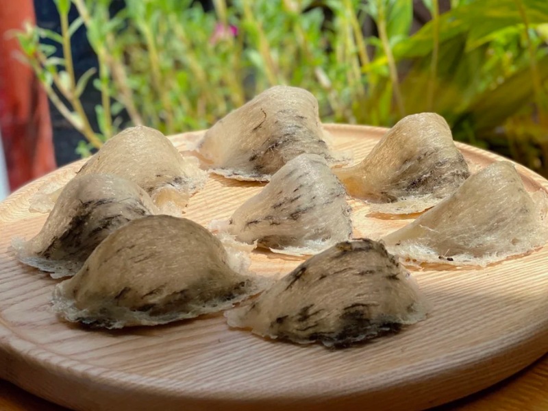 Yến thô nguyên tổ